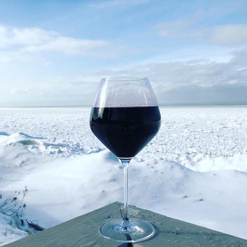 Top 5 des Meilleurs Vins à Boire en Hiver 