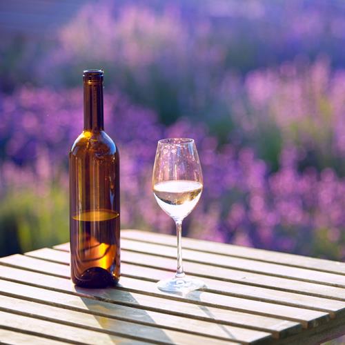 Les 5 Meilleurs Vins de Provence en 2024