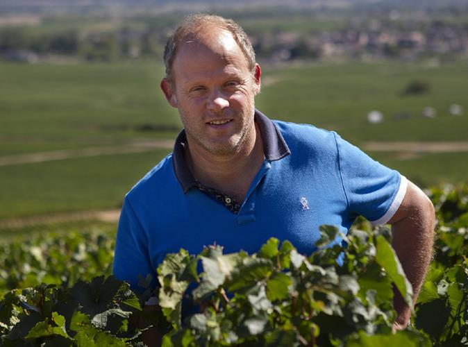 Domaine Rodolphe Demougeot